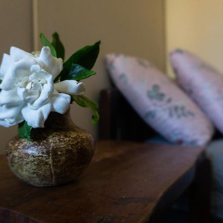 Mi Casa Es Tu Casa Apartment เมโล ภายนอก รูปภาพ