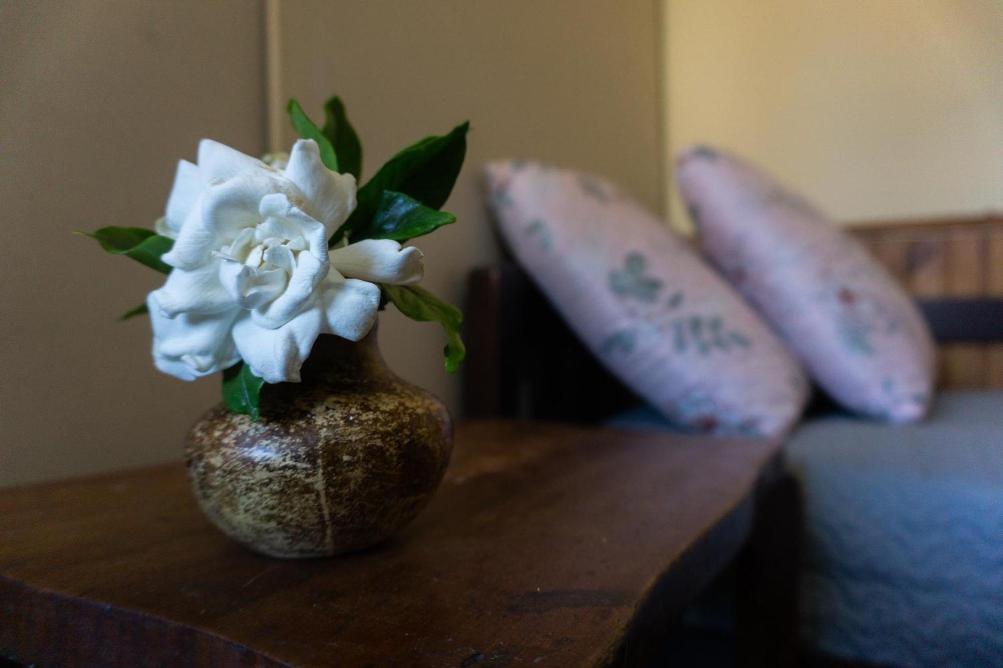 Mi Casa Es Tu Casa Apartment เมโล ภายนอก รูปภาพ