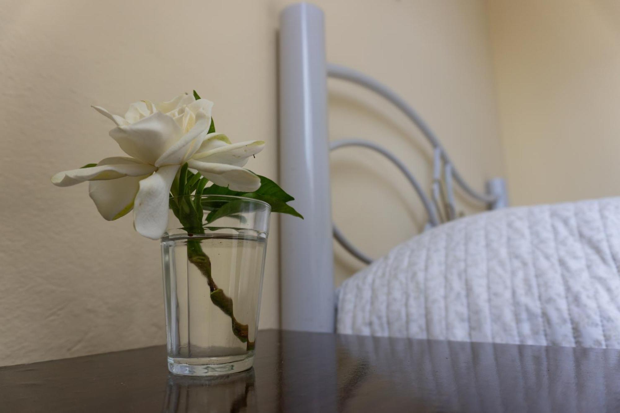 Mi Casa Es Tu Casa Apartment เมโล ภายนอก รูปภาพ